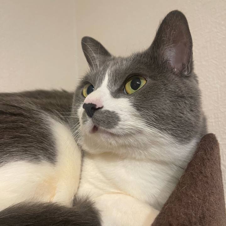 460d57d9 dd4e 4e23 8c10 115c0727b26d 1738000882360