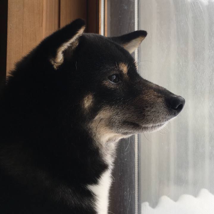 460d7aaf 6408 4d16 90dd 52ec726f7101 1517998245743