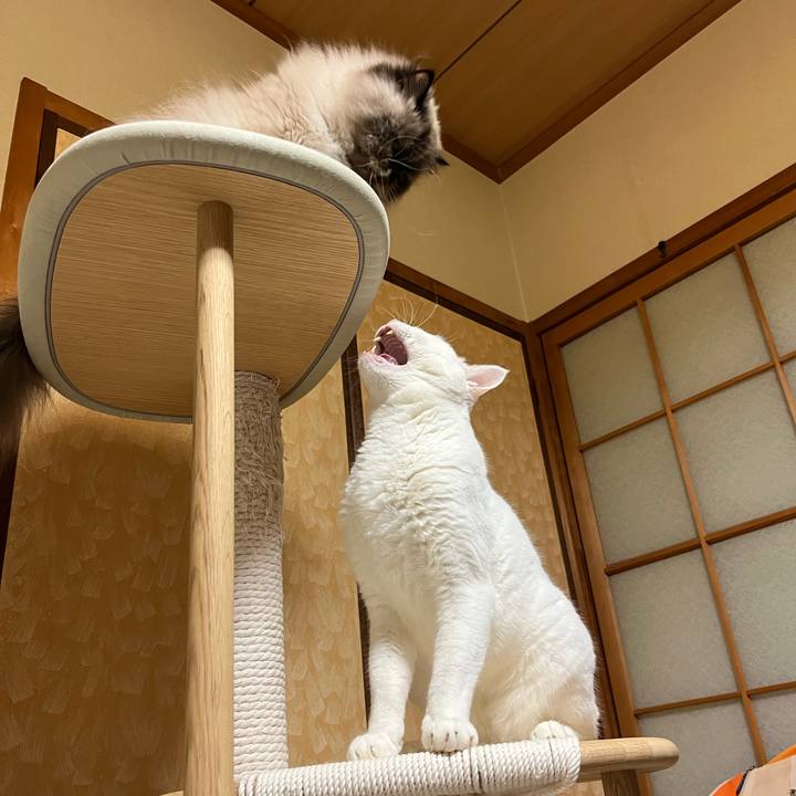 460d925f 51ee 40dd a3b8 1a2ce44edc5b 1721133529785