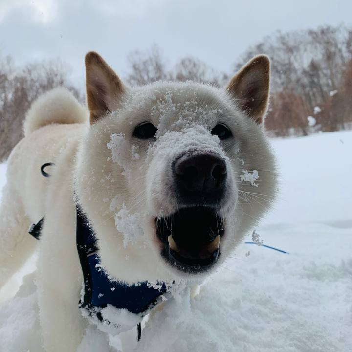 460dba1e 00dc 47a8 ba17 077aa0a5646f 1645407938683