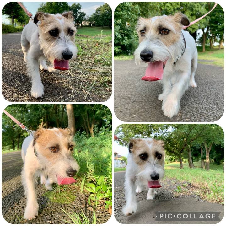 460dbf58 011b 48df b144 592decbe2aff 1658179247991