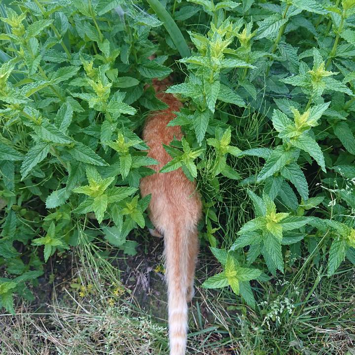 460ddf01 5126 48af 9b8e fb838f9912ef 1560199943968