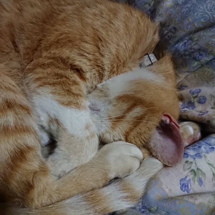 460dea3e b383 4581 bc1b 817795e9060a 1590067466090