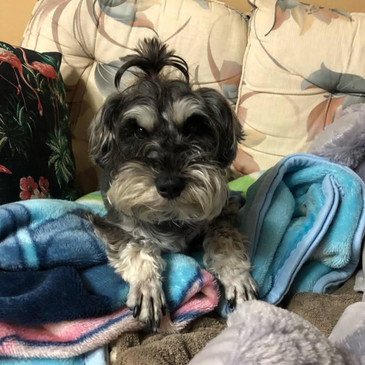 460e0087 6f48 4c7d bba6 04948a5b99e5 1524319158826