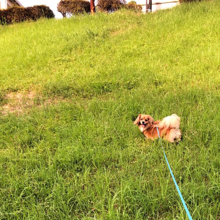 460e0356 8617 43fb 8393 82bb3132cf4e 1564787329644