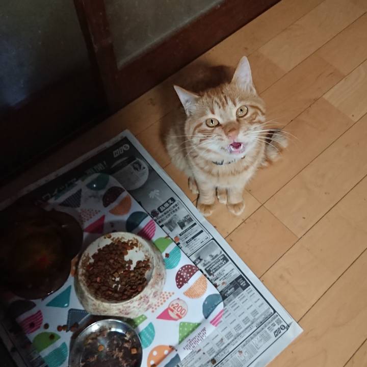 460e1e3a d723 4b9e aba1 43ad1a35725d 1651744312487