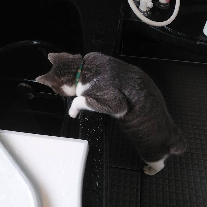 460e254b 7a92 4921 98fe 322be801a638 1579216012456