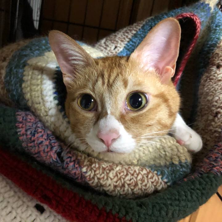 460e59c3 2faf 4826 b949 685bd9d84202 1603893647120