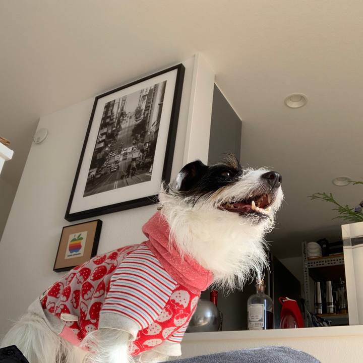 460e6f26 3aa1 4dd8 acbf 3f6a7470a0b8 1579932969097