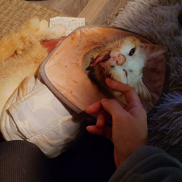 460e78ae da8c 40ba 9d5c f6349b1797dc 1766271145771