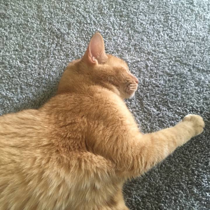 460e7b62 f83a 40b5 9b87 7d8eee3c1170 1661636126360