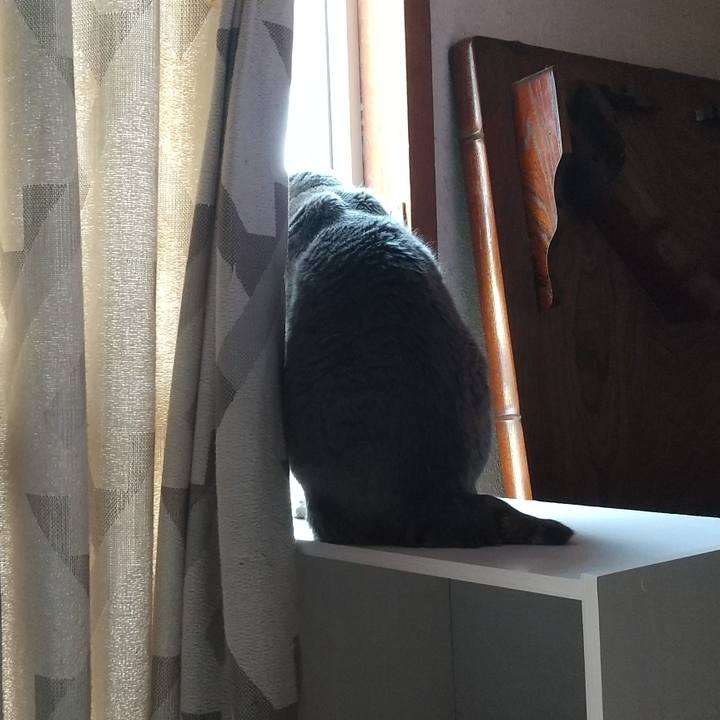 460e835a 3e9a 4b95 9d5d 008ae1d13099 1680495819684