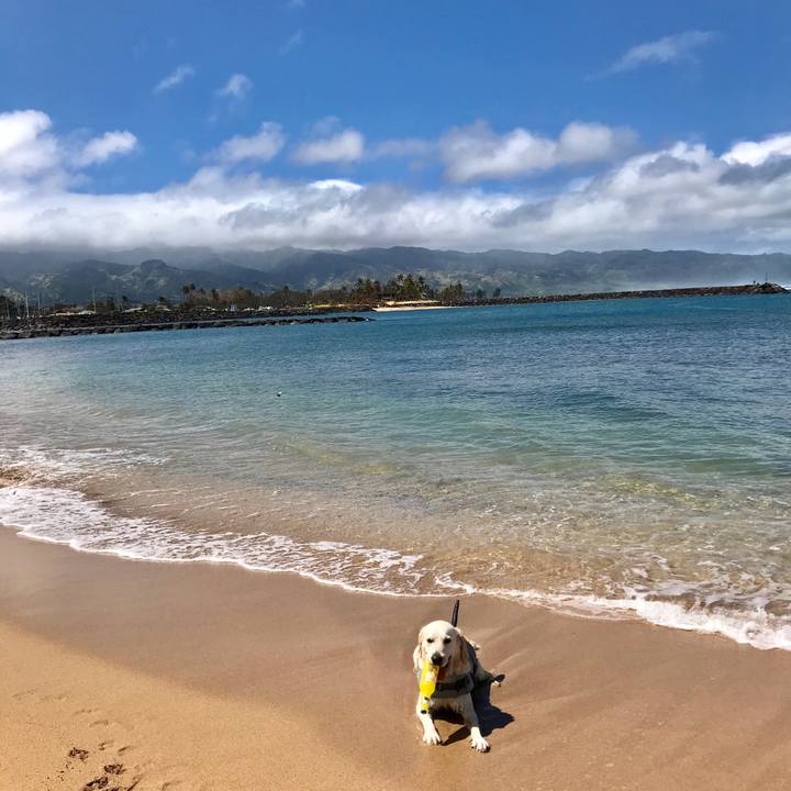 460e87b3 145f 4595 9b67 da6e394cf6fb 1552370044165