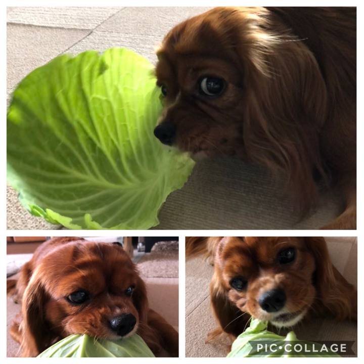 460e9d65 e553 42b6 b539 911281e4bf60 1578208862002