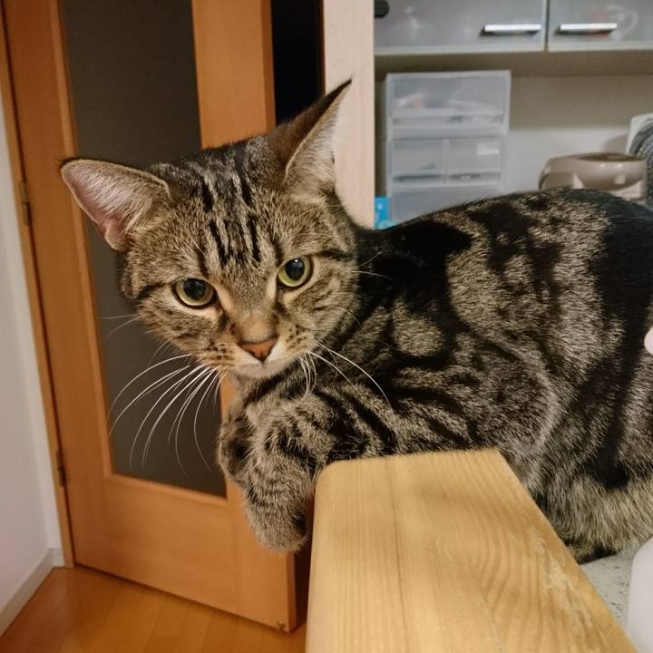 460eb200 90d6 4a1c 8a64 311d35c31d98 1512441697263