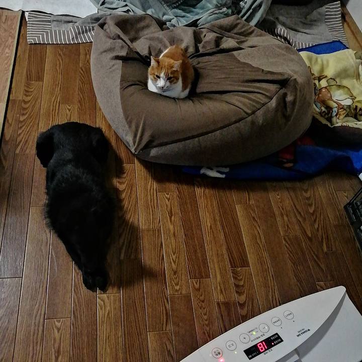 460efb1d 24c9 48e9 8dbe f9c8f3f1cdd8 1641329421444