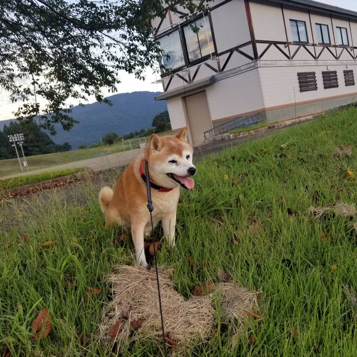 460efbbc 4b24 402f 8289 5014dcd84385 1725956491422