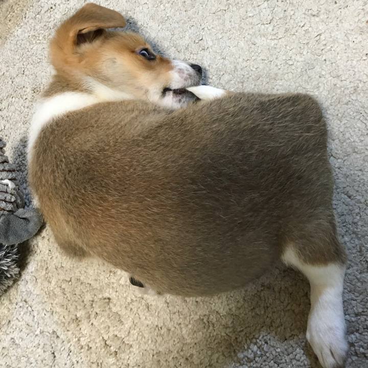 460f29ad 85d8 47a0 bf33 4b07d141a53b 1589761385793