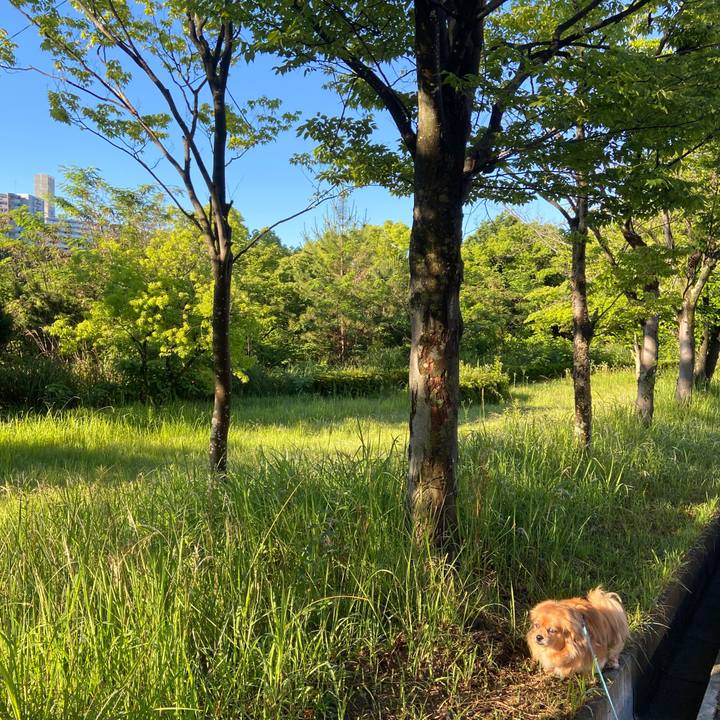 460f8022 97c1 467a beee 889fb57b61e4 1654552751003