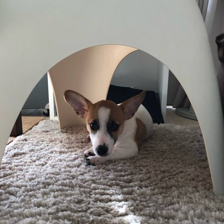 460f8c04 1ea9 4e4b bfc7 861f2aec416a 1547771916932