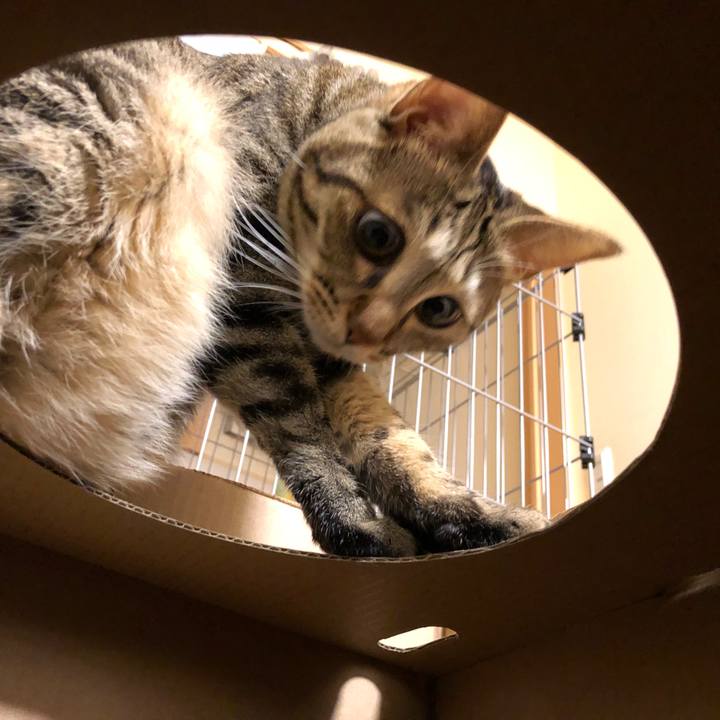 460f9de5 3965 4e96 b9ff a1948b498888 1533262556139