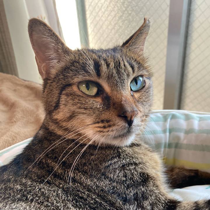 460fbdaa bdca 4d0a 923d ed53f262d82a 1720425603092