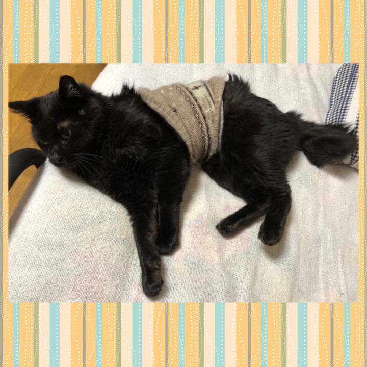 460fe815 8147 4ff9 b695 e0d69373133f 1604570094695