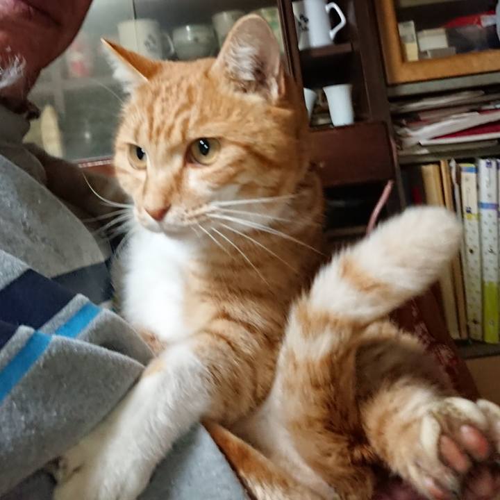 46101b06 ae29 4bbc 9c97 1f00a84f7974 1608718640638