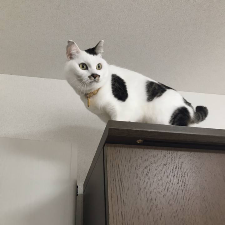 46102991 499a 4cae 8a2f 2577dccf7ab3 1550826878270