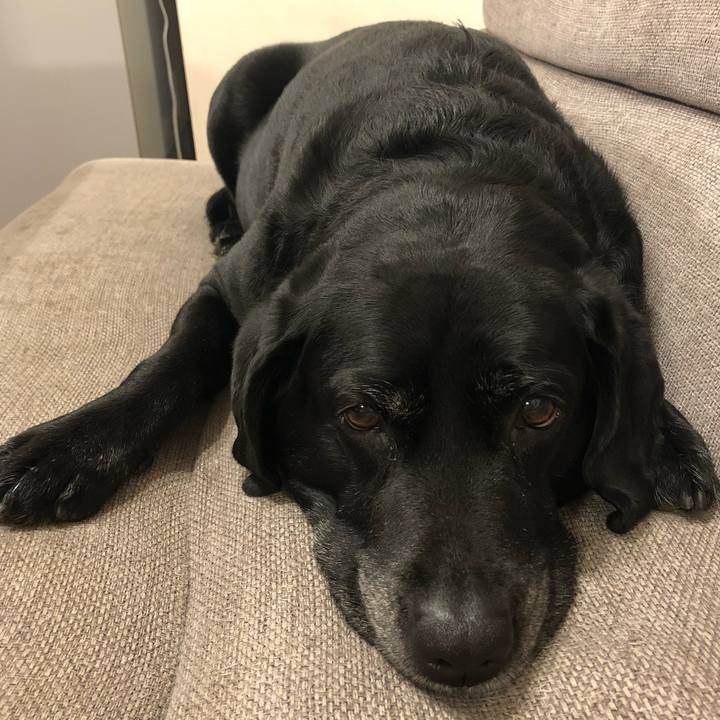 46104064 98c5 43b7 85c7 f721437e7e17 1549111591748