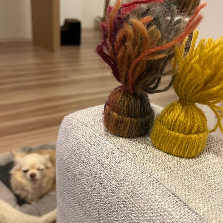 46105270 6384 4769 8d7e eeaf858ebaf9 1701853905444