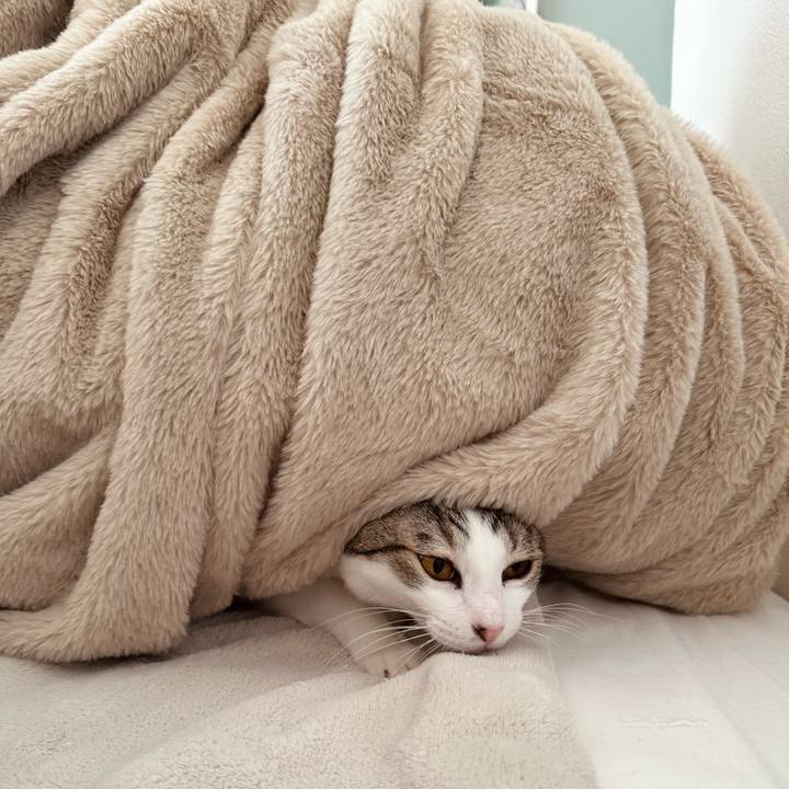 4610588a 0619 4f28 895a 7609c4d55a13 1767845748394