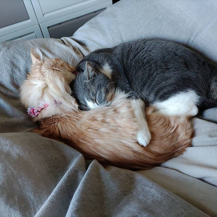 46106ae8 7a92 4d9f 9bc3 d6df927727ea 1681001053372