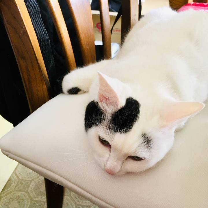 4610ab13 08b2 40ca adea 874078ff1e4e 1556574680453