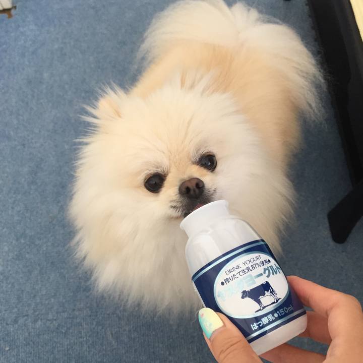 4610c200 bd82 407a bd7c a35635d77ee0 1560399366829