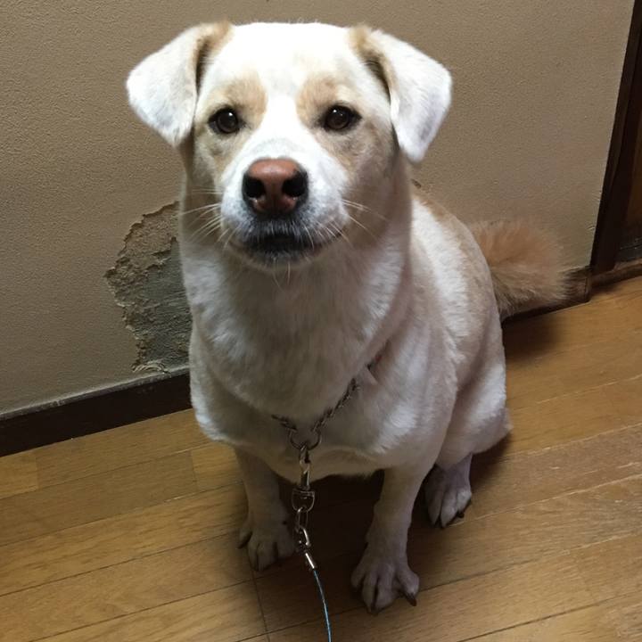 4610cb22 d95f 4074 9922 1654a4f45e3a 1508205172501