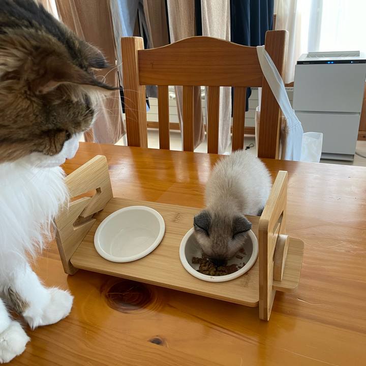 46110a7a 8f2e 4780 9e59 7528e34c1237 1687245349208