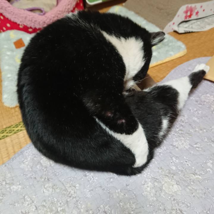 46110f95 cecd 4405 a0fe 93b399776edb 1578814064306