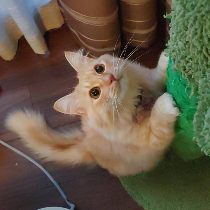 46111b41 3a00 41c3 be63 148dee01af1c 1666736390222