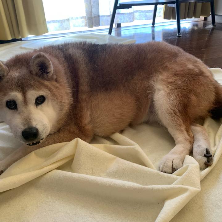 4611286e 5c4d 4a91 8ebb 7815cff23d6c 1660221614173