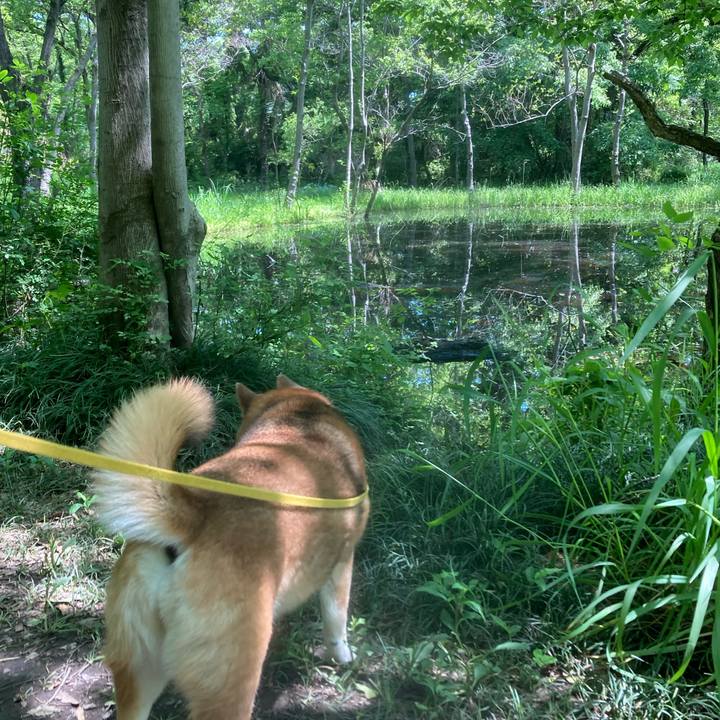 4611336b 5345 44cb 8e26 4b4300a38fbd 1651635729350