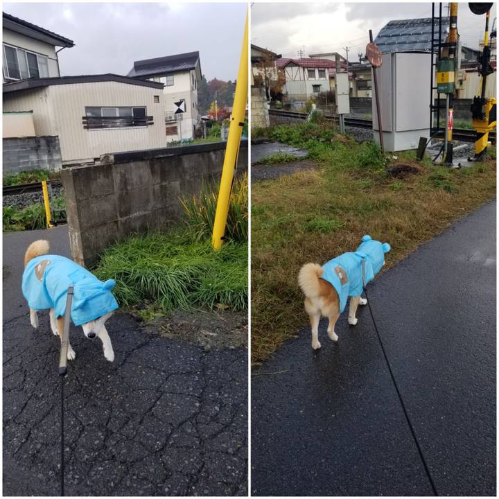 461191e5 7840 47e2 ae9e 71922c5804e4 1762769516111