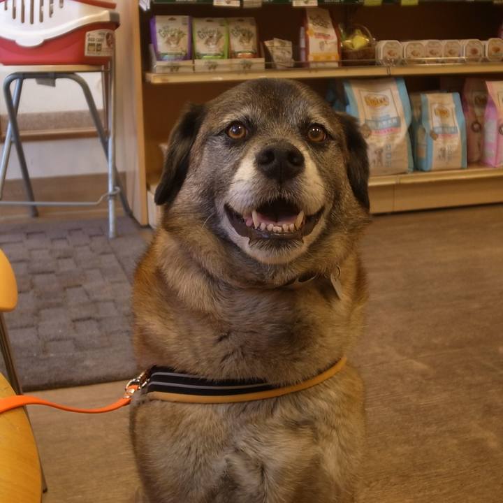 46119c8a 48eb 4ac9 bd19 6177774cd6b9 1585656668140