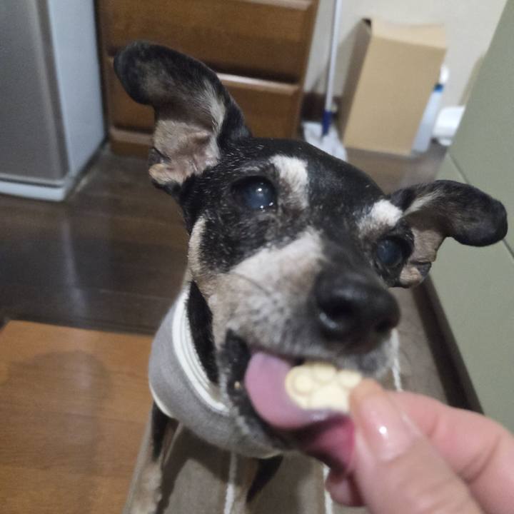 4611a543 29d8 4408 8347 7b64f359f028 1769284086982