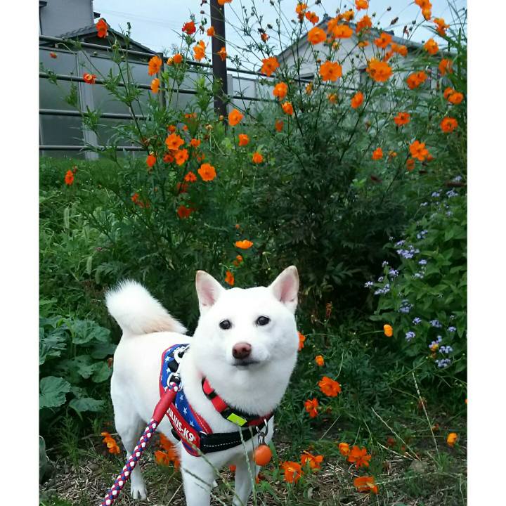 4611dc2f 8e2b 4683 8a2f 4f2b5679a2e6 1568193620138