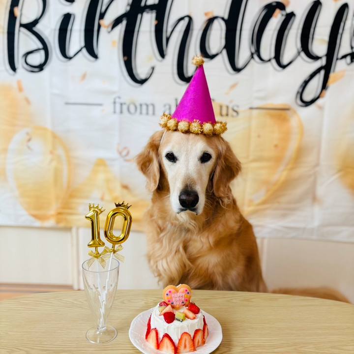 4611e56f 6298 4091 b28b f94d8a9aba85 1764388252592