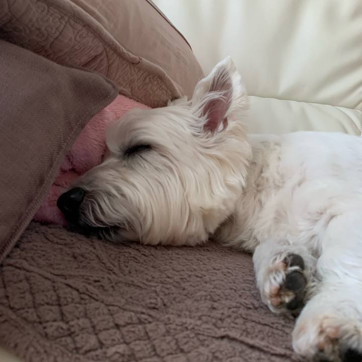 46120bbc 6d1a 4e74 abb8 47107e4f1b51 1613227662199