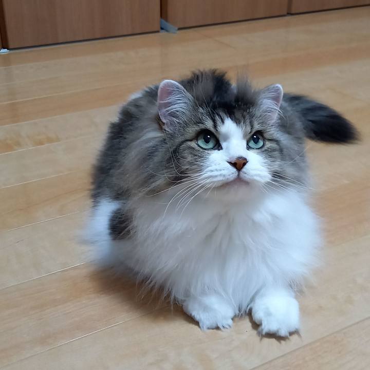 4612503c 1def 495f bfcf 841906059d9a 1653945435083