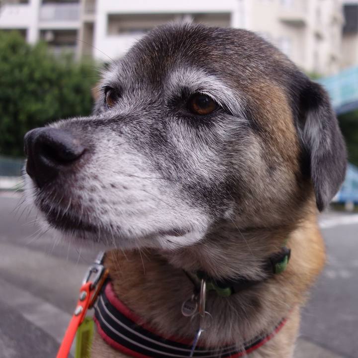 461259e8 2cea 4c4b b904 ca46fd7a5854 1537581326575