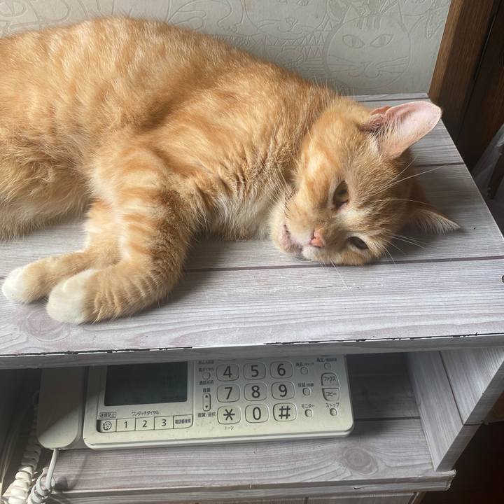 4612d680 b51a 49b6 9880 656f03007f4d 1598328552410